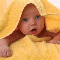 Thumbnail-Haus zum Kaufen in Haßloch , Pfalz 455.400,00 € 132.29 m²