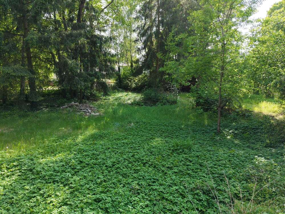 Thumbnail-Grundstück zu verkaufen in Wandlitz 415.000,00 € 2465 m²