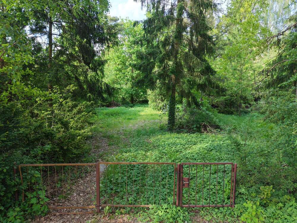 Thumbnail-Grundstück zu verkaufen in Wandlitz 220.000,00 € 1267 m²