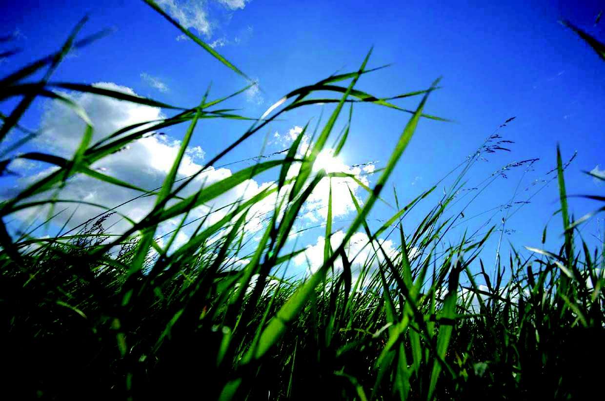 Thumbnail-Grundstück zu verkaufen in München 999.000,00 € 335 m²