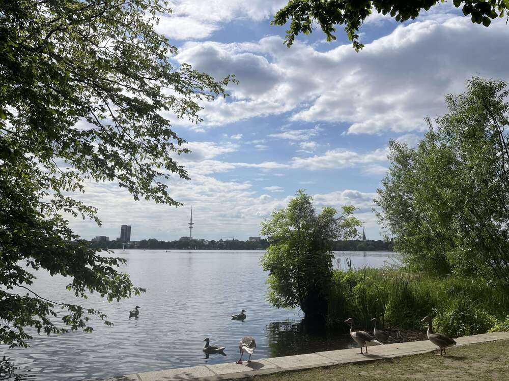 Thumbnail-Wohnung zum Kaufen in Hamburg 7.500.000,00 € 309.28 m²