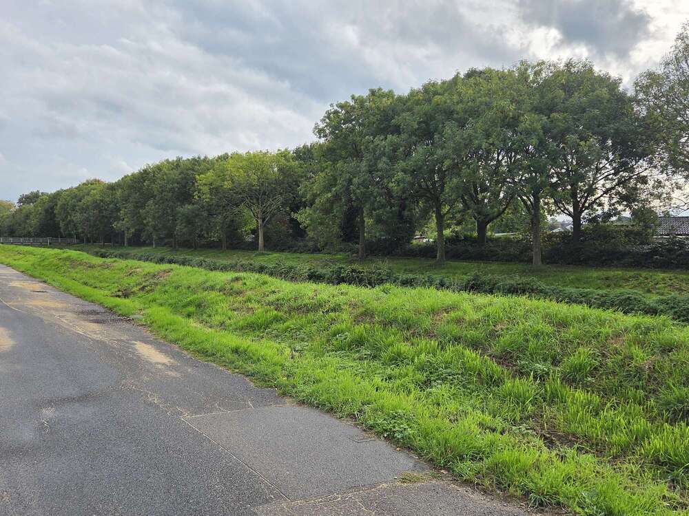 Thumbnail-Grundstück zu verkaufen in Köln 680.000,00 € 997 m²