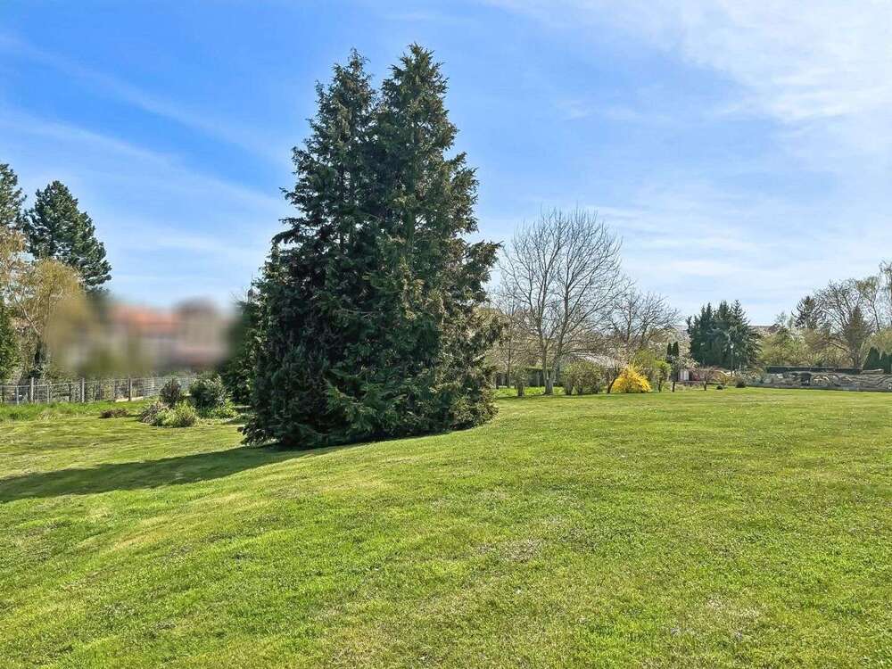 Thumbnail-Grundstück zu verkaufen in Teuchern 64.000,00 € 1600 m²