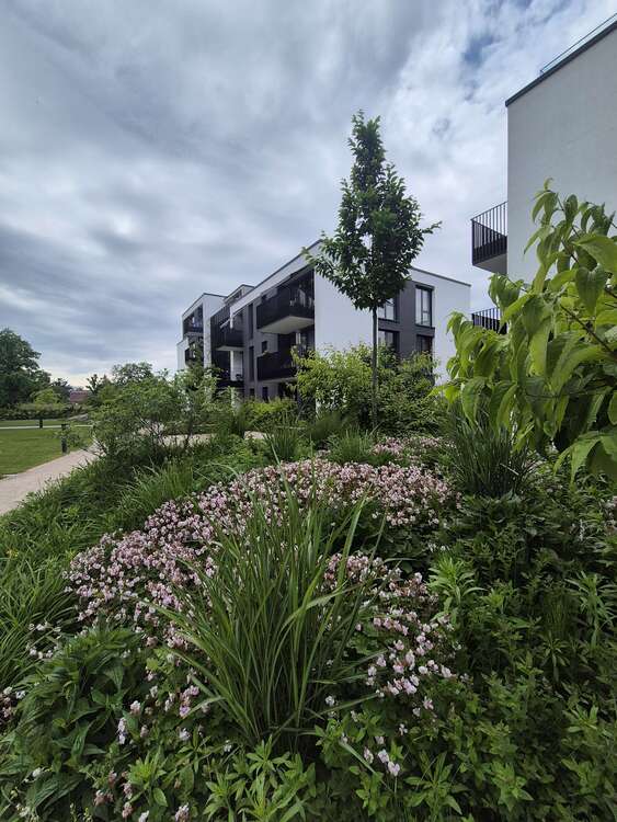 Thumbnail-Wohnung zum Mieten in Achern 1.240,00 € 108 m²