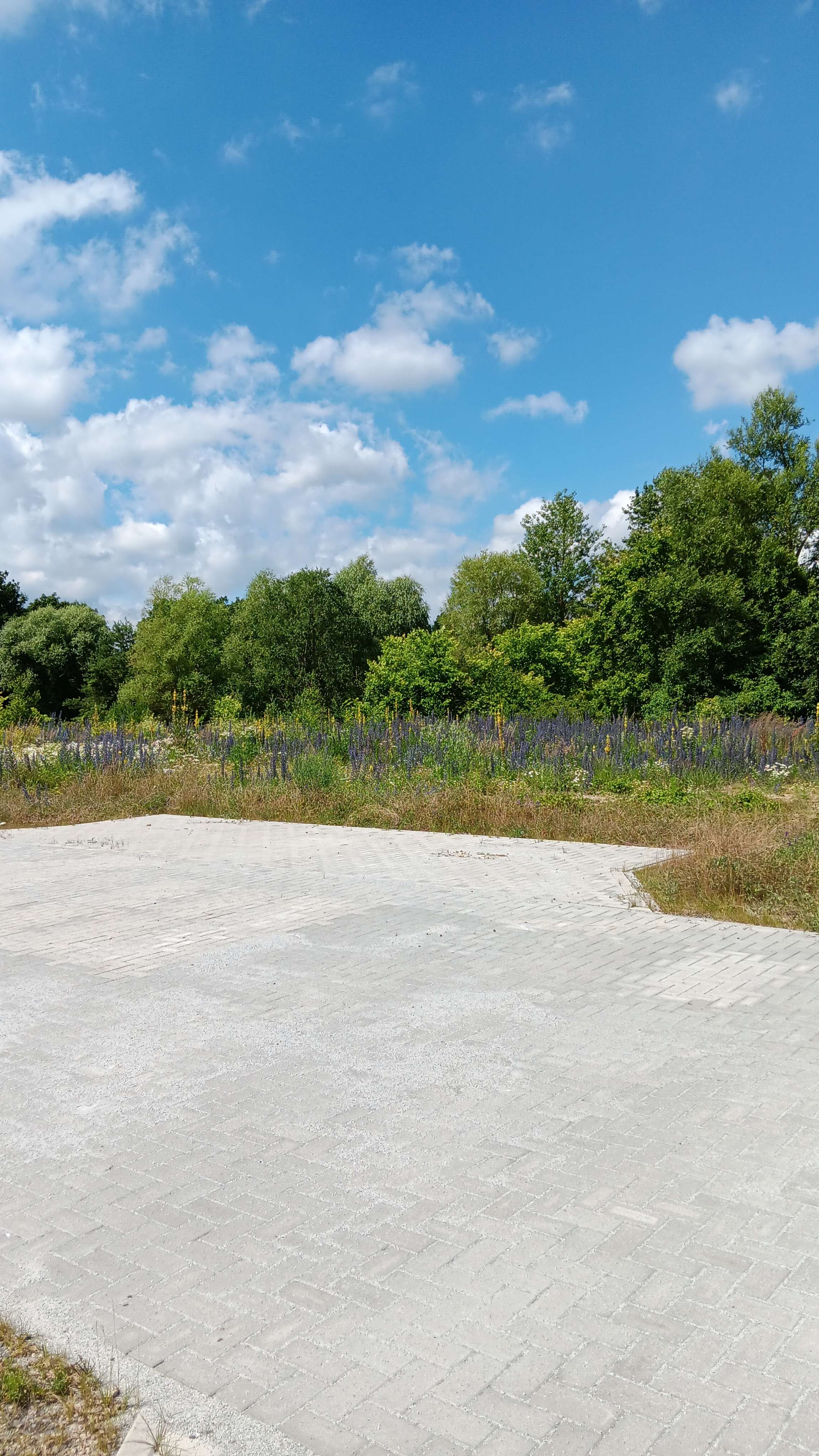 Thumbnail-Grundstück zu verkaufen in Altlandsberg 235.175,00 € 1001 m²