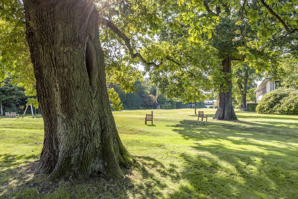 Thumbnail-Wohnung zum Mieten in Hamburg 6.490,00 € 338 m²