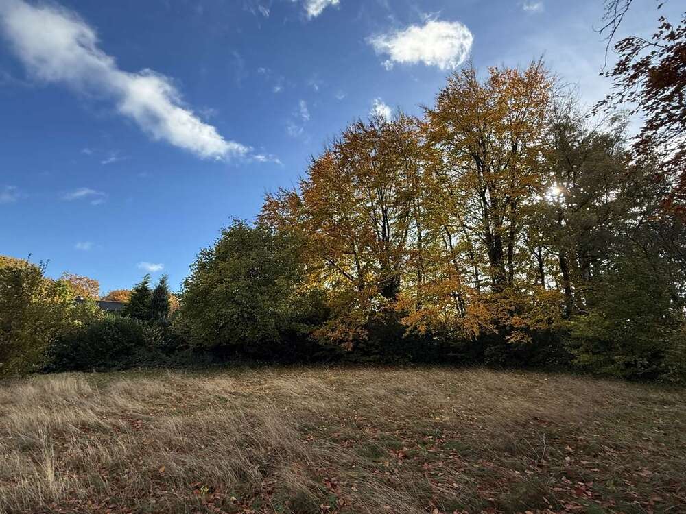 Thumbnail-Grundstück zu verkaufen in Roetgen 460.000,00 € 1561 m²