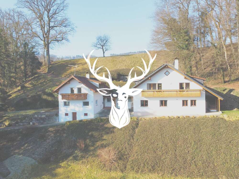 Thumbnail-Haus zum Kaufen in Klettgau 898.000,00 € 295 m²