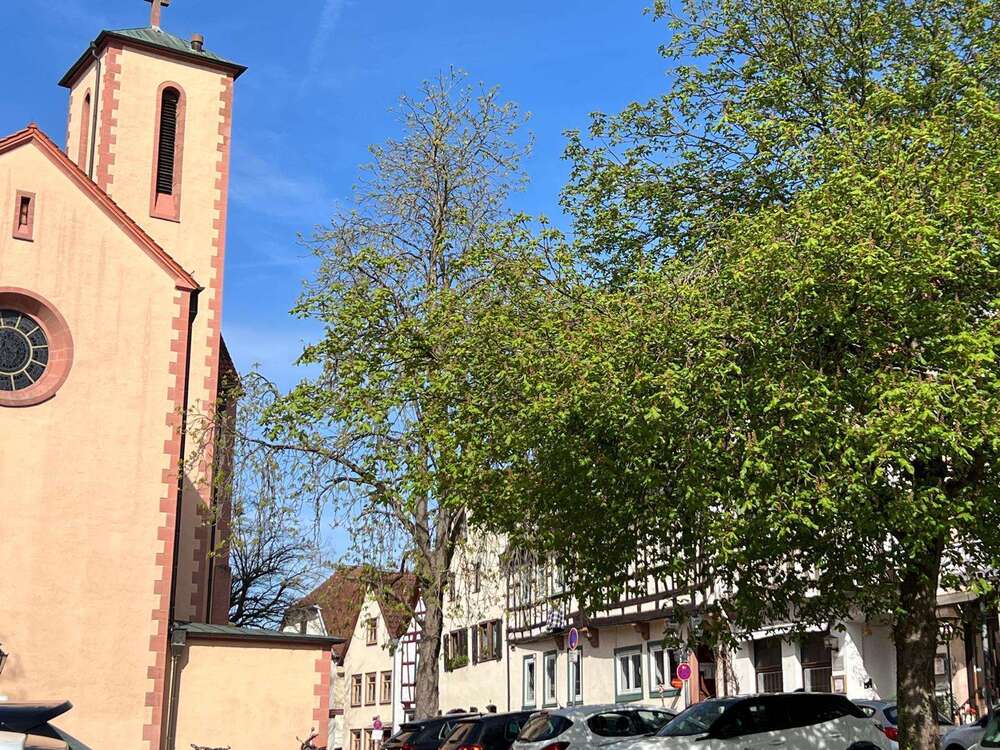 Thumbnail-Haus zum Kaufen in Gelnhausen 640.000,00 € 158 m²