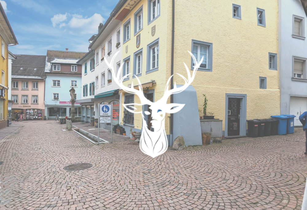 Thumbnail-Haus zum Kaufen in Waldshut-Tiengen 350.000,00 € 180 m²