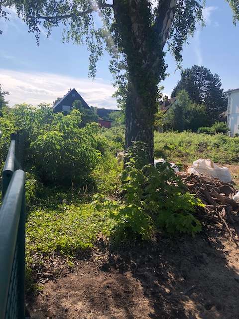 Thumbnail-Grundstück zu verkaufen in Berlin 698.000,00 € 965.84 m²