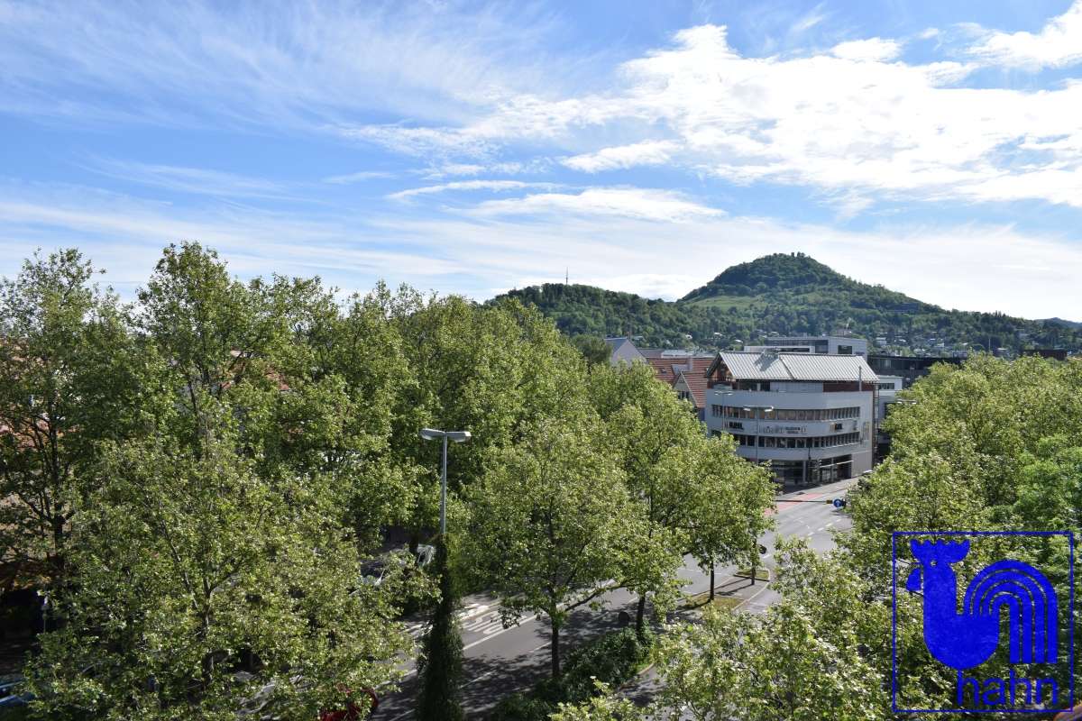 Thumbnail-Wohnung zum Kaufen in Reutlingen 399.000,00 € 117 m²