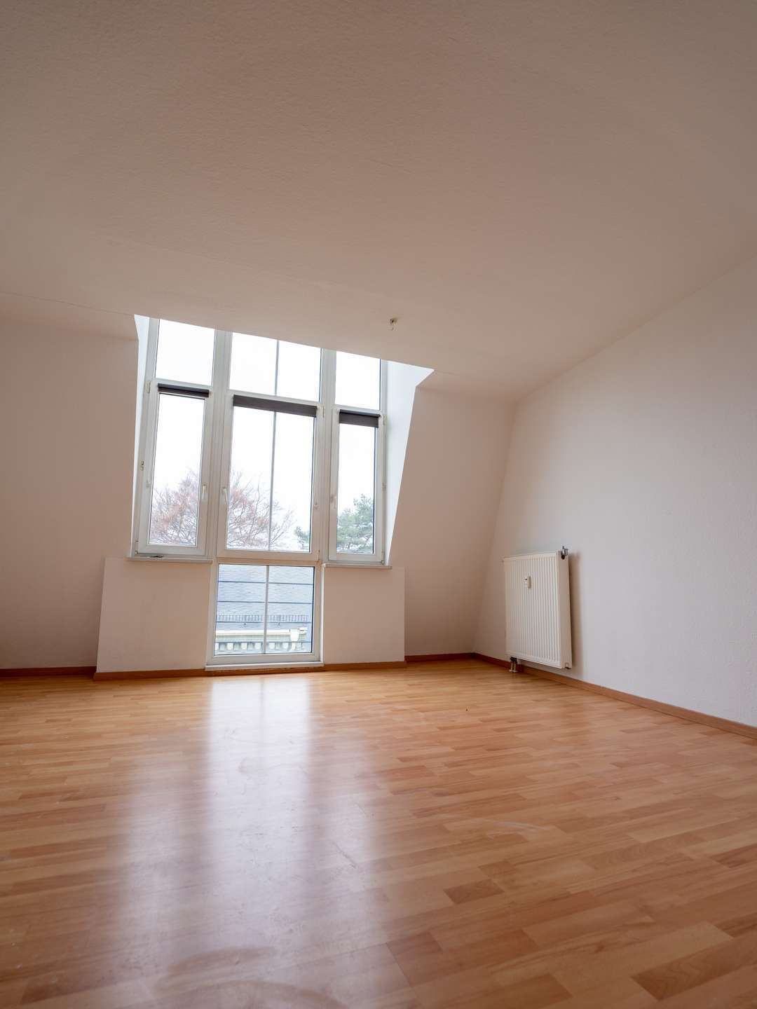 Thumbnail-Wohnung zum Mieten in Meerane 270,00 € 53.62 m²