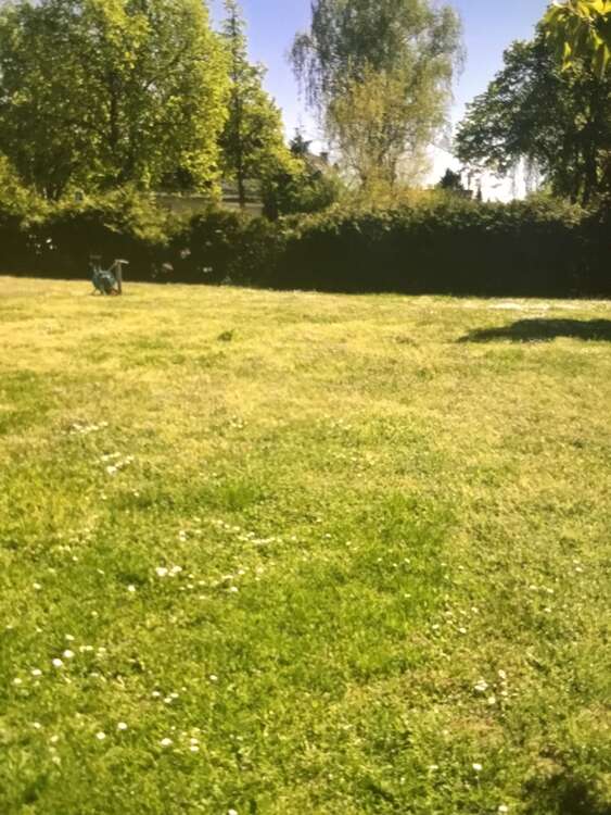 Thumbnail-Grundstück zu verkaufen in Schulzendorf 139.999,00 € 420 m²