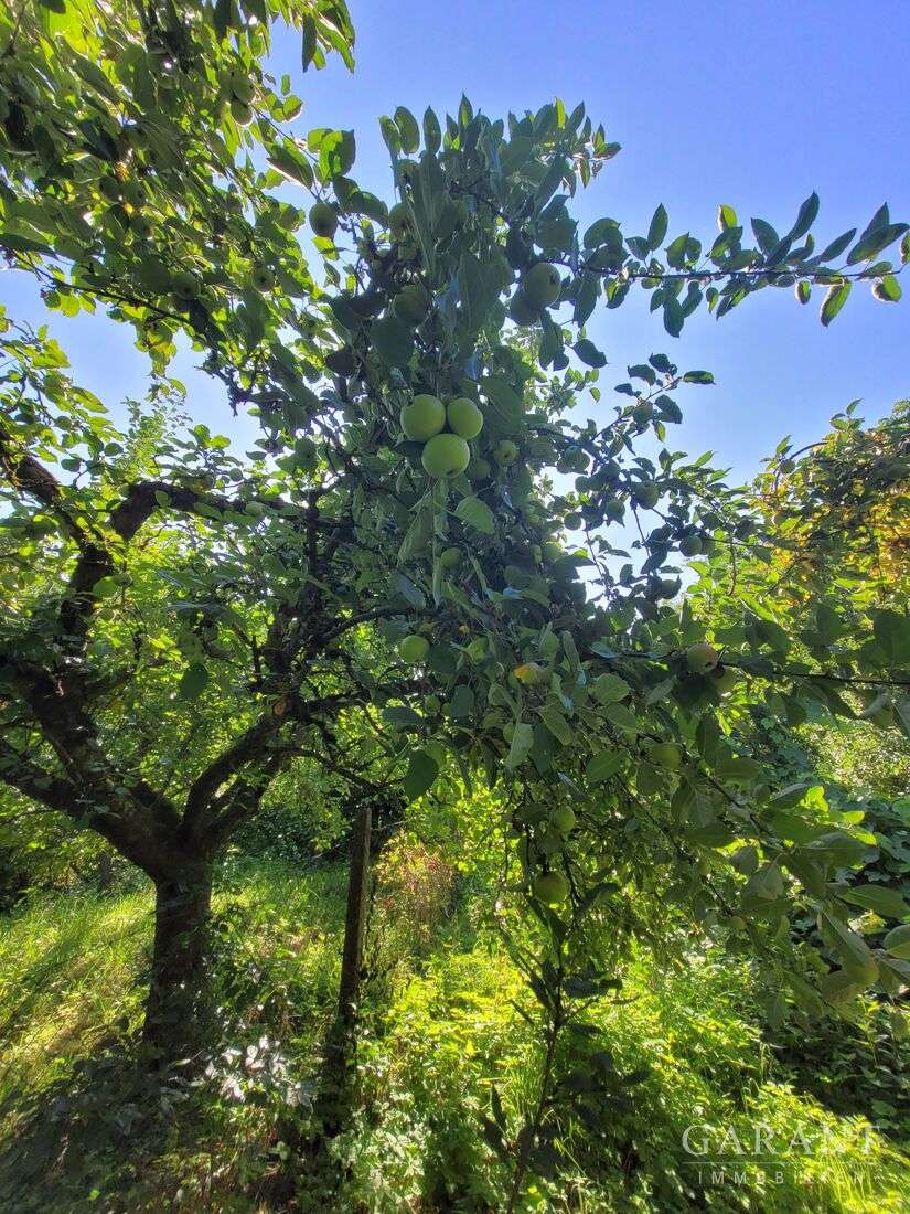 Thumbnail-Haus zum Kaufen in Schwabach 399.000,00 € 184 m²