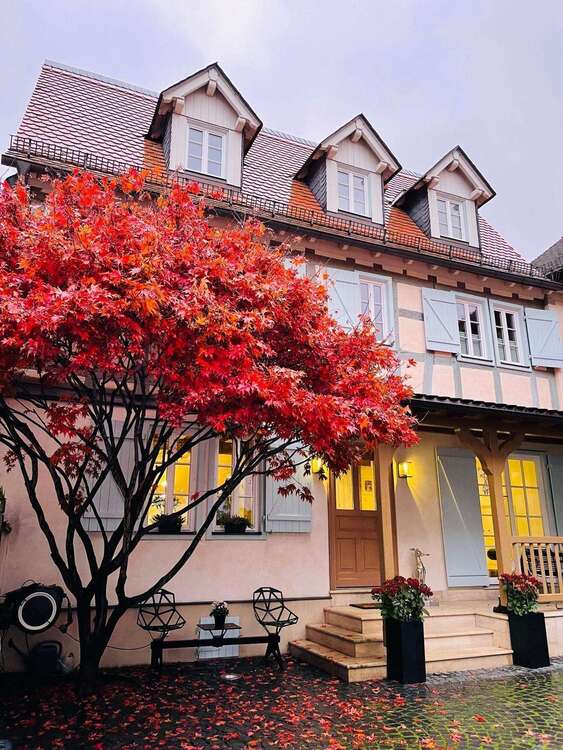 Thumbnail-Haus zum Kaufen in Kronberg im Taunus 1.590.000,00 € 400 m²