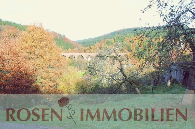 Thumbnail-Grundstück zu verkaufen in Eberbach 63.000,00 € 990 m²