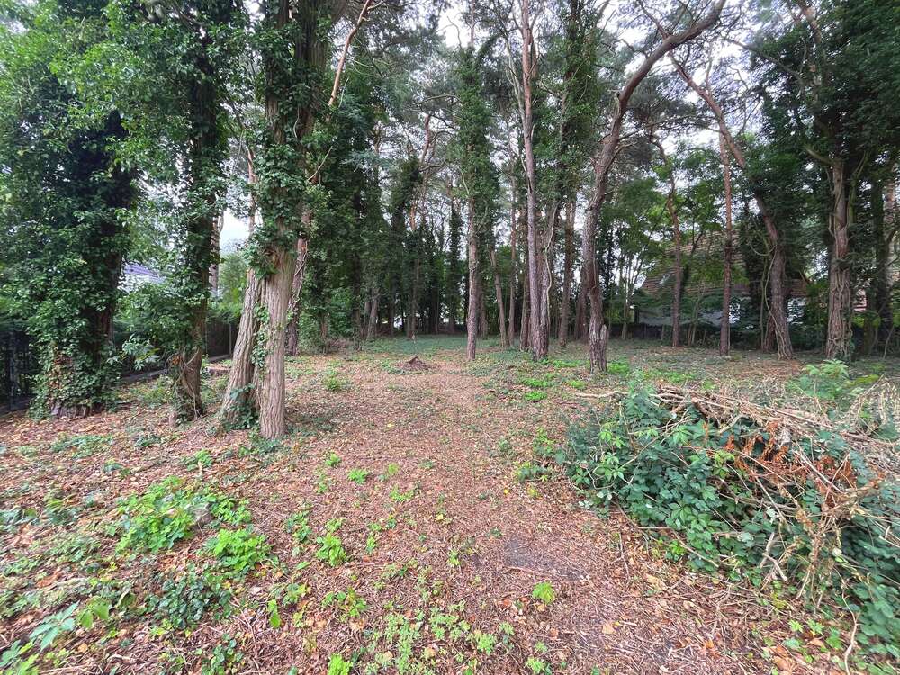 Thumbnail-Grundstück zu verkaufen in Königs Wusterhausen - Zernsdorf 221.900,00 € 634 m²