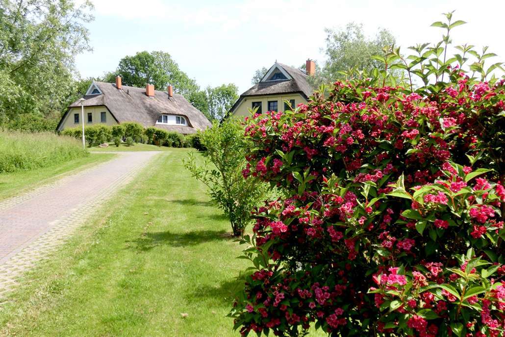 Thumbnail-Wohnung zum Kaufen in Poseritz 329.000,00 € 81 m²