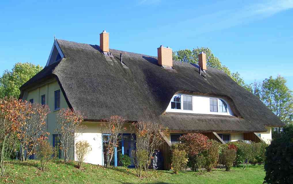 Thumbnail-Haus zum Kaufen in Poseritz 329.000,00 € 81 m²