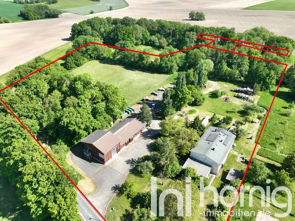Thumbnail-Haus zum Kaufen in Liebschützberg 299.000,00 € 252 m²