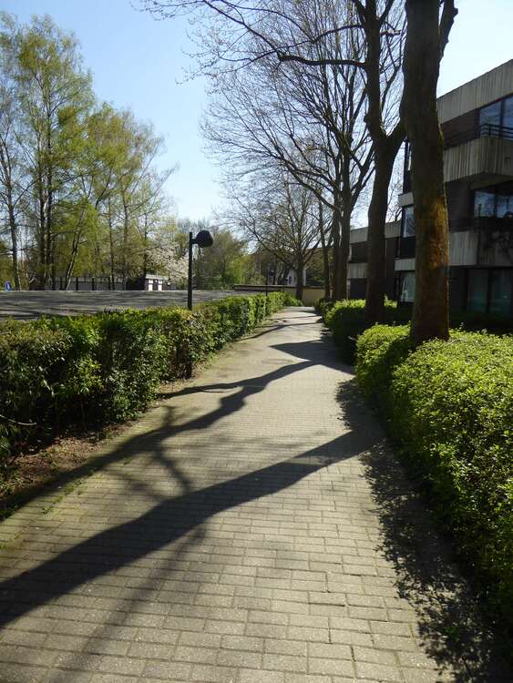 Thumbnail-Wohnung zum Mieten in Düsseldorf 1.275,00 € 100.83 m²