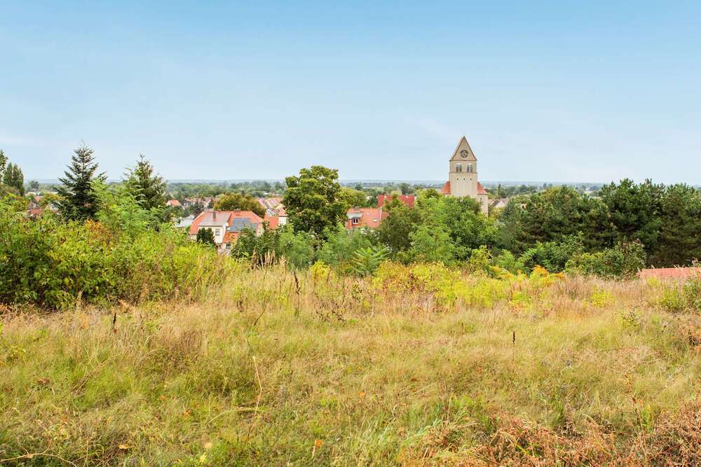 Thumbnail-Grundstück zu verkaufen in Wriezen 69.000,00 € 1200 m²