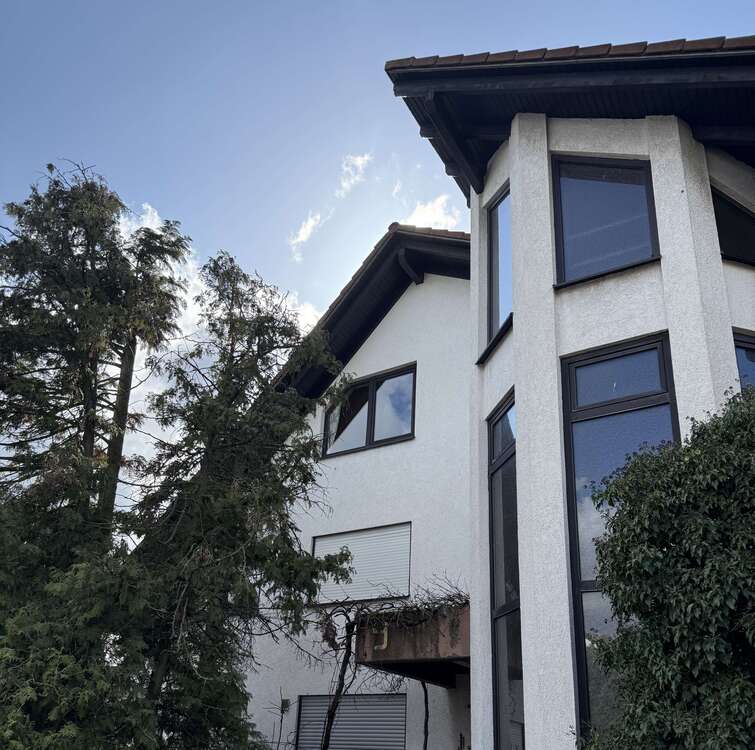 Thumbnail-Haus zum Kaufen in Böhl-Iggelheim 793.000,00 € 319 m²