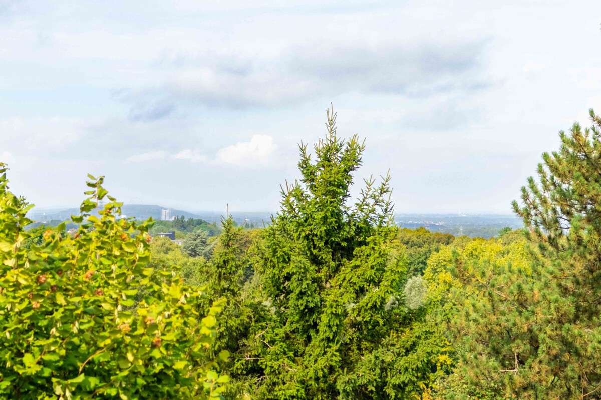 Thumbnail-Haus zum Kaufen in Castrop-Rauxel 475.000,00 € 155 m²