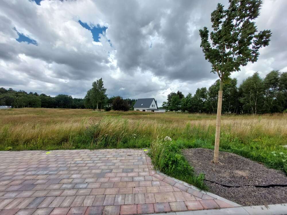 Thumbnail-Grundstück zu verkaufen in Bergen OT Tilzow 120.300,00 € 765 m²