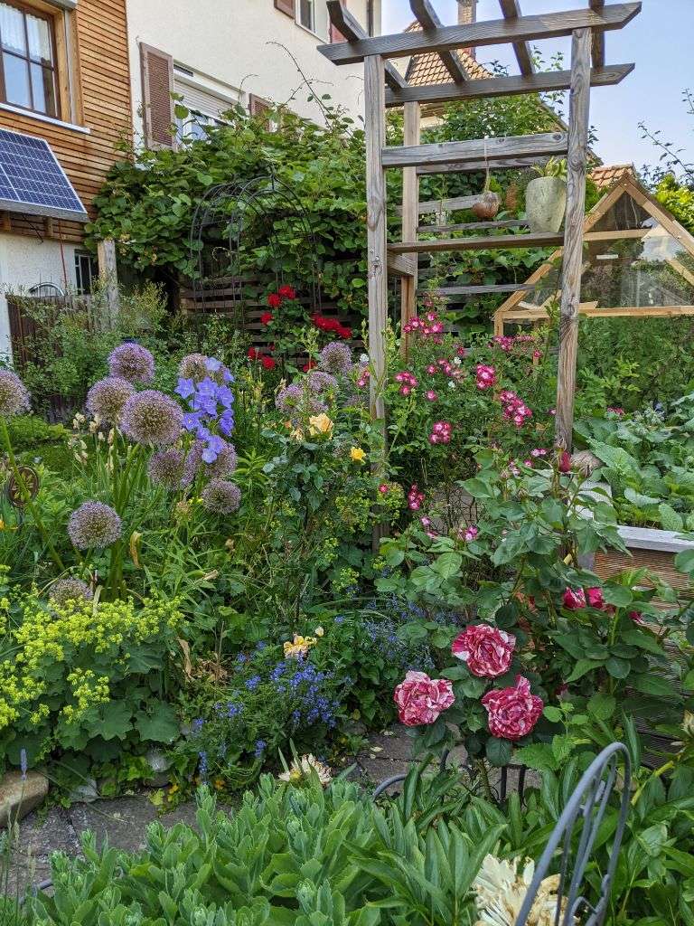 Thumbnail-Haus zum Kaufen in Birkenfeld 469.000,00 € 160 m²