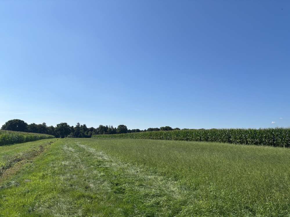 Thumbnail-Grundstück in Edewecht 270.000,00 € 66754 m²