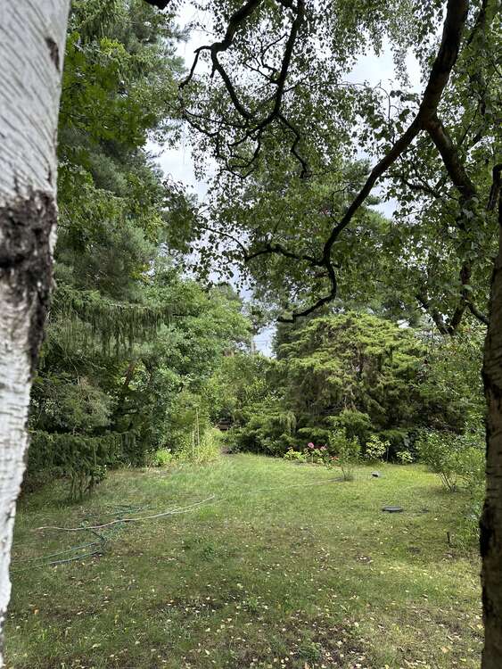 Thumbnail-Grundstück zu verkaufen in Berlin 399.000,00 € 1022 m²