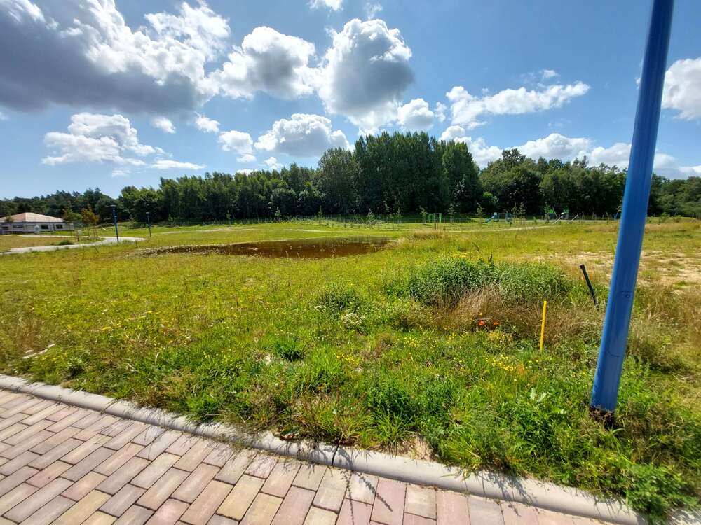 Thumbnail-Grundstück zu verkaufen in Bergen OT Tilzow 89.500,00 € 562 m²