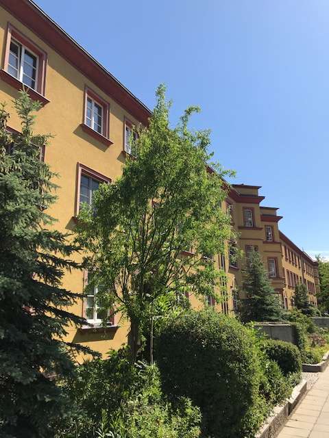 Thumbnail-Wohnung zum Mieten in Cottbus 900,00 € 85.7 m²