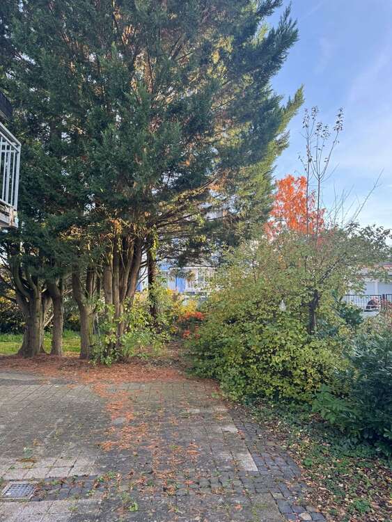 Thumbnail-Grundstück zu verkaufen in Darmstadt 1.290.000,00 € 766 m²