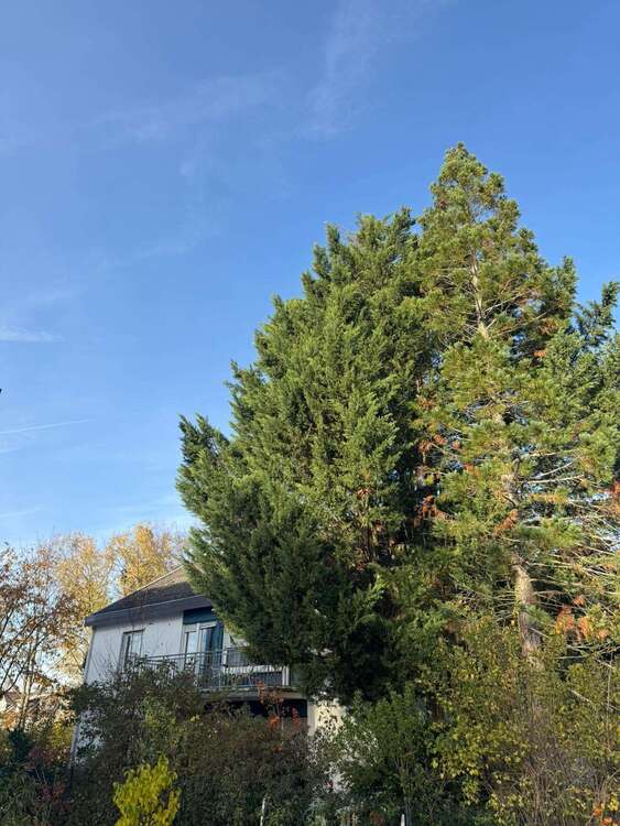 Thumbnail-Haus zum Kaufen in Darmstadt 1.290.000,00 € 310 m²