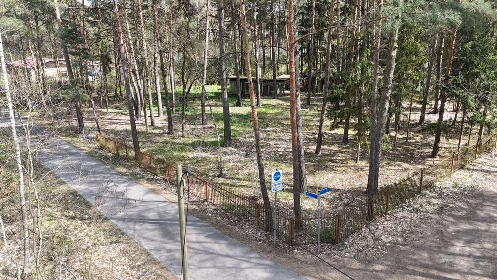Thumbnail-Grundstück zu verkaufen in Borkheide 115.000,00 € 826 m²