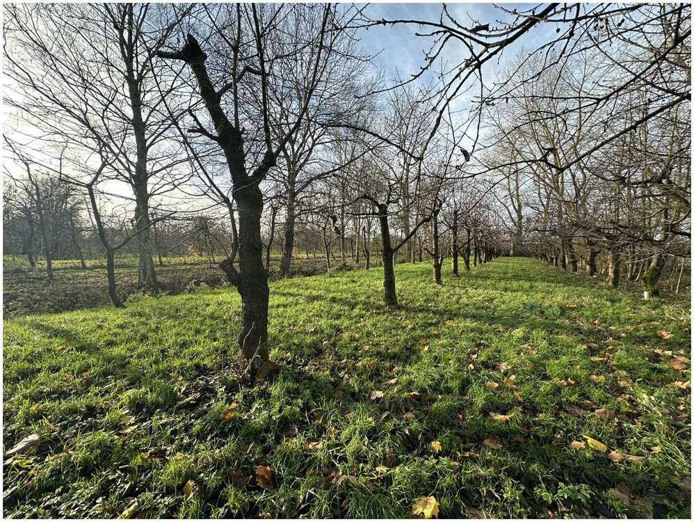 Thumbnail-Grundstück in Engelschoff Neuland 63.000,00 € 3584 m²