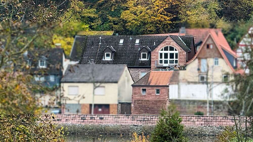 Thumbnail-Haus zum Kaufen in Miltenberg 595.000,00 € 231 m²