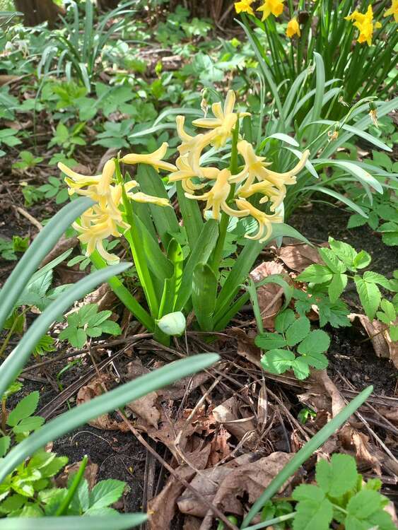 Thumbnail-Grundstück zu verkaufen in Luckenwalde 12.500,00 € 1996 m²