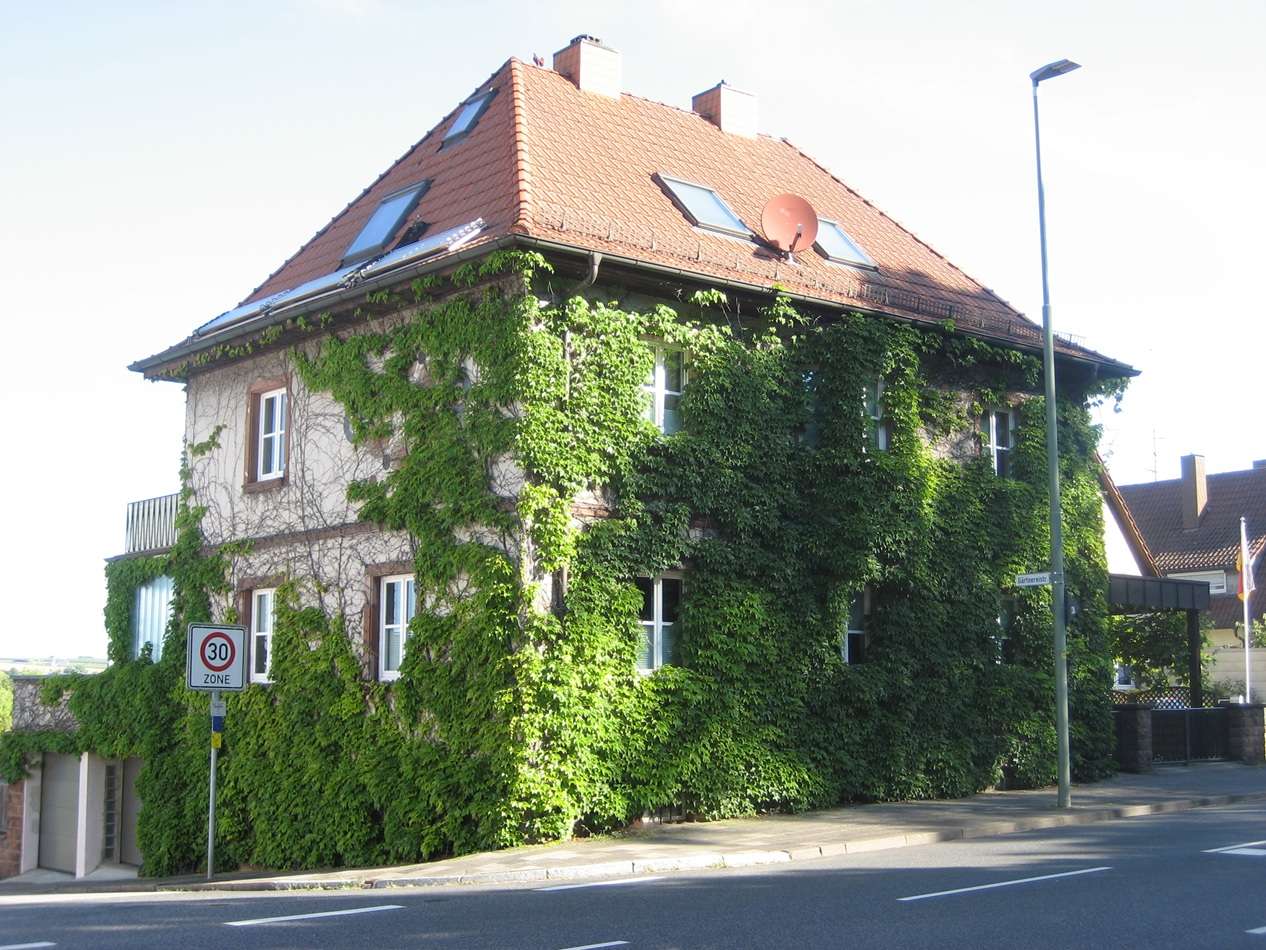 Thumbnail-Haus zum Mieten in Kaiserslautern 1.450,00 € 210 m²
