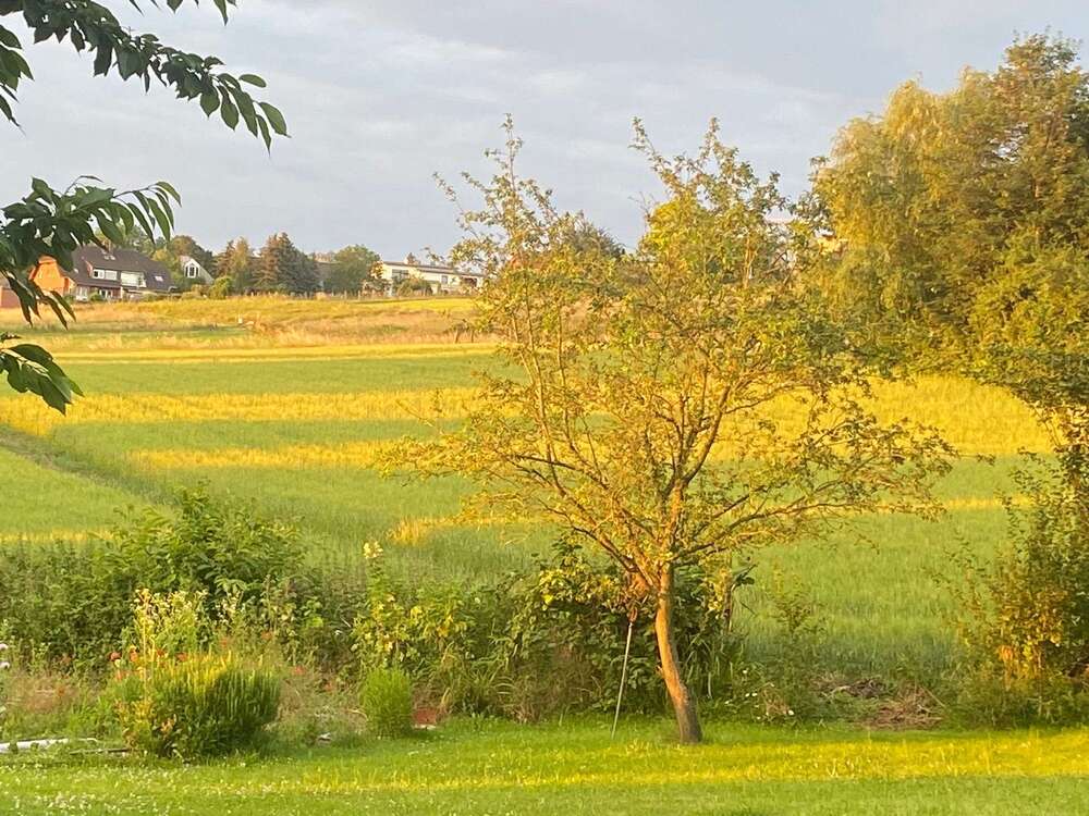 Thumbnail-Grundstück zu verkaufen in Bornheim 620.000,00 € 1170 m²