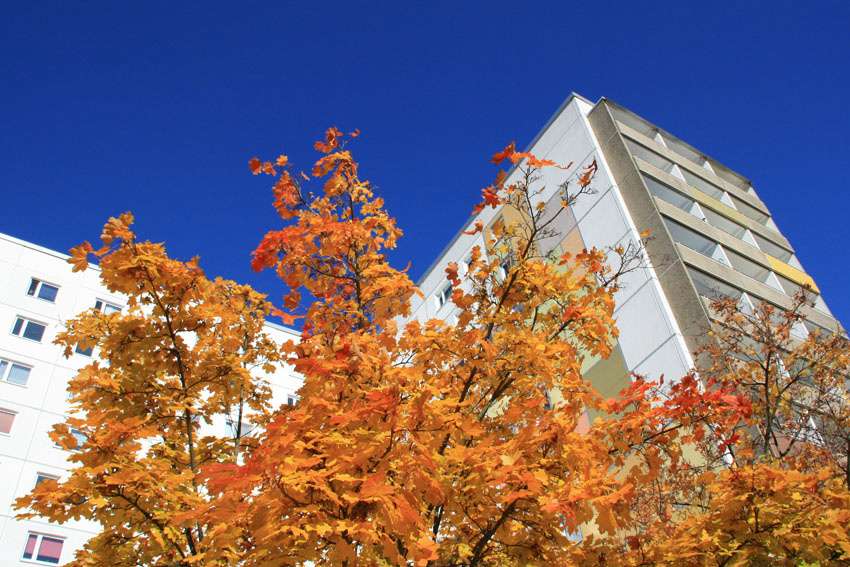 Thumbnail-Wohnung zum Mieten in Hoyerswerda 287,00 € 51.42 m²