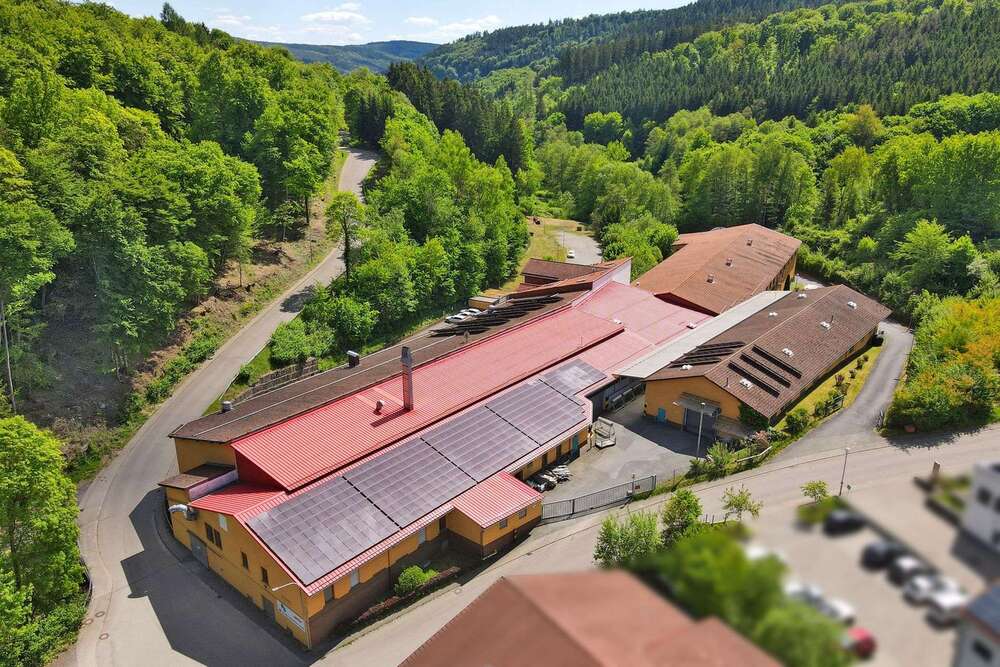 Thumbnail-Halle in Wald-Michelbach 2.400,00 € 600 m²