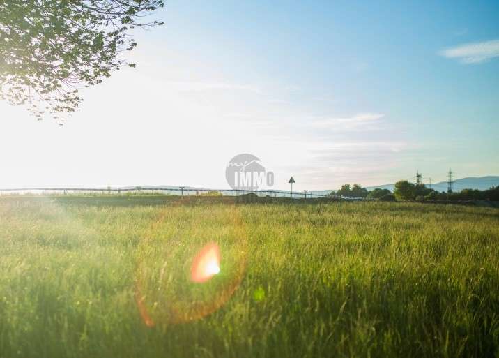 Thumbnail-Grundstück zu verkaufen in Wertheim Sachsenhausen 111.000,00 € 187 m²