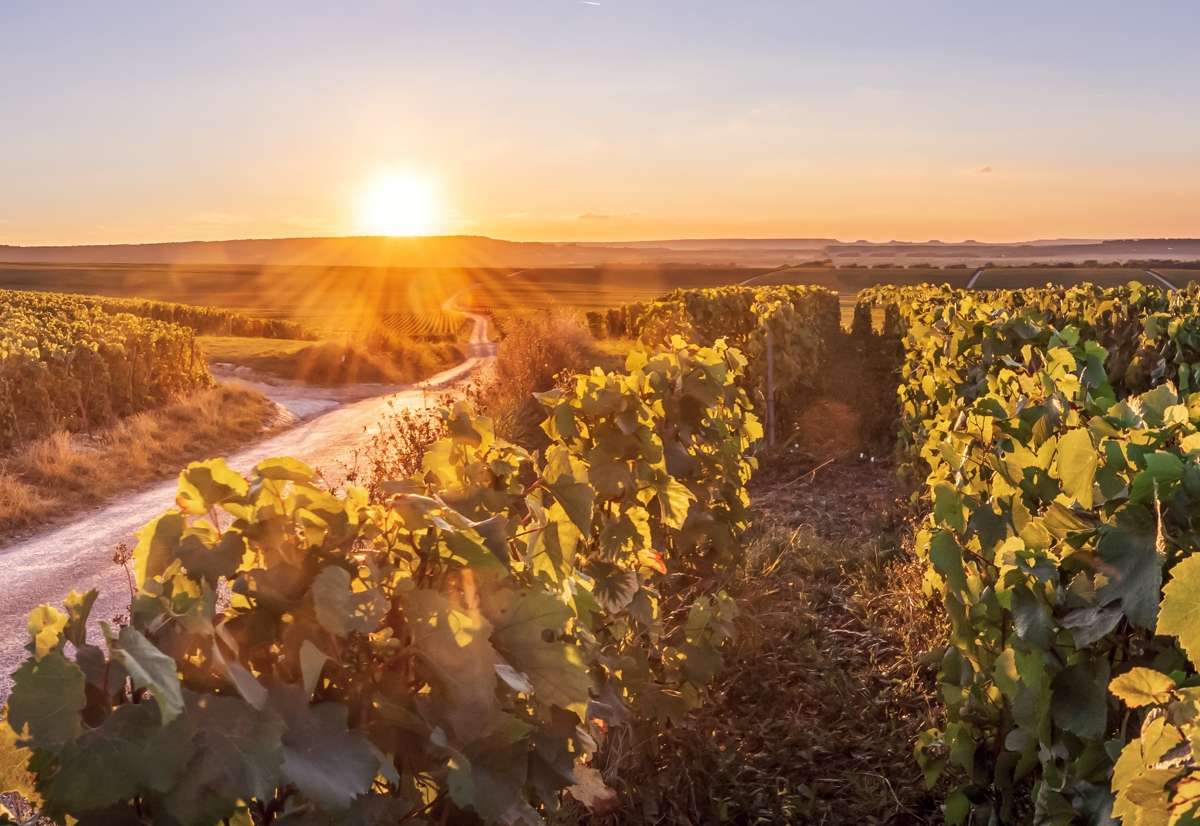 Thumbnail-Grundstück zu verkaufen in Groß-Umstadt 469.500,00 € 837.77 m²