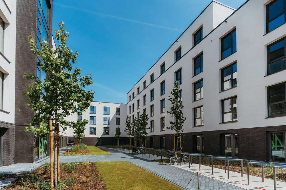 Thumbnail-Wohnung zum Mieten in Bielefeld 245,80 € 34 m²