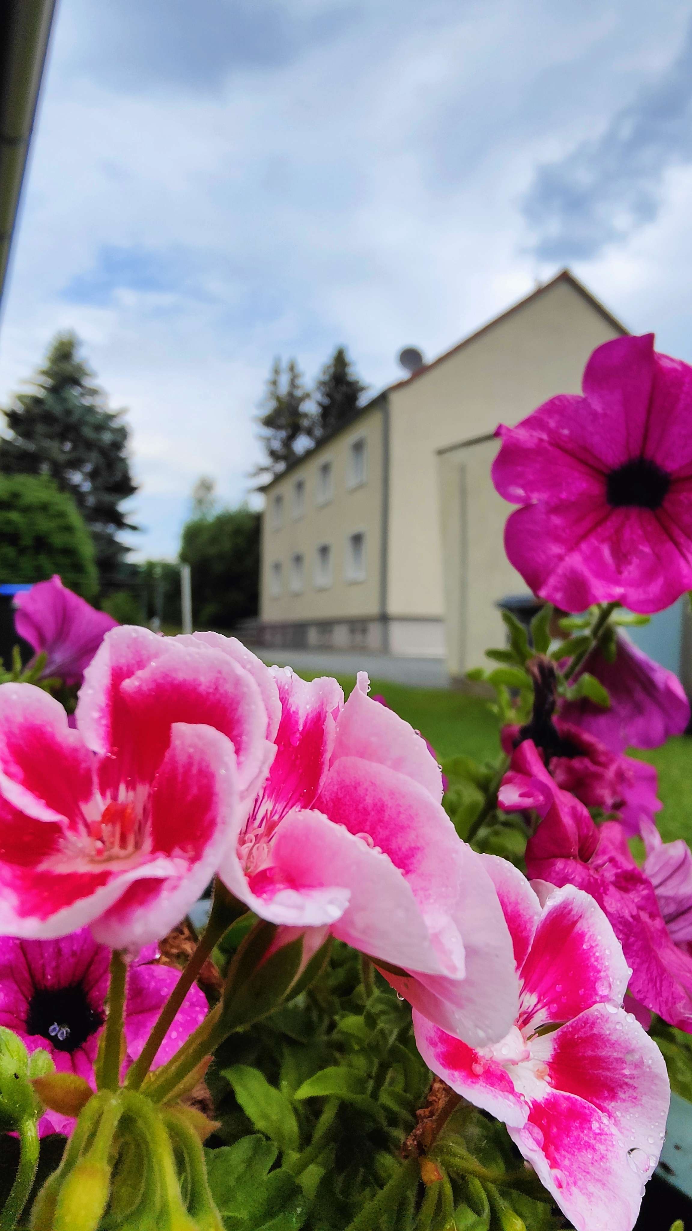 Thumbnail-Wohnung zum Mieten in Löbau 322,00 € 59 m²