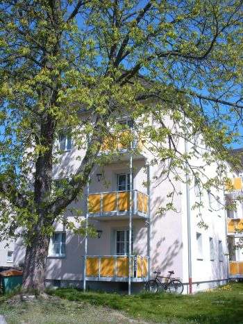 Thumbnail-Wohnung zum Mieten in Tirschenreuth 252,50 € 42.98 m²